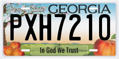 GA license plate PXH7210