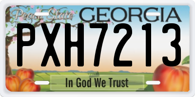 GA license plate PXH7213