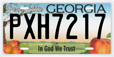 GA license plate PXH7217