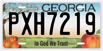 GA license plate PXH7219