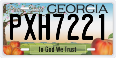 GA license plate PXH7221