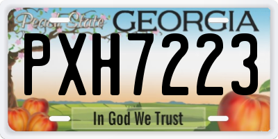GA license plate PXH7223