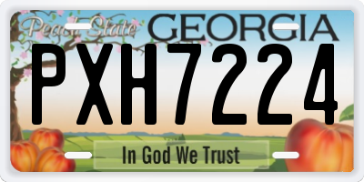 GA license plate PXH7224