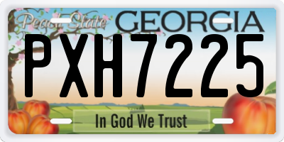 GA license plate PXH7225