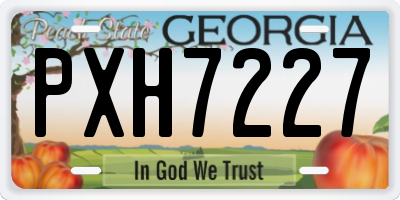 GA license plate PXH7227