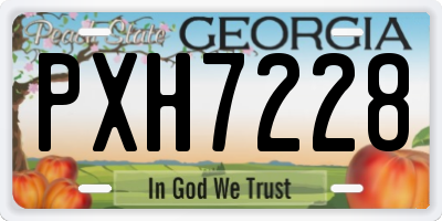 GA license plate PXH7228