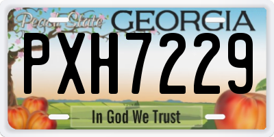 GA license plate PXH7229