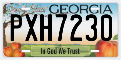GA license plate PXH7230