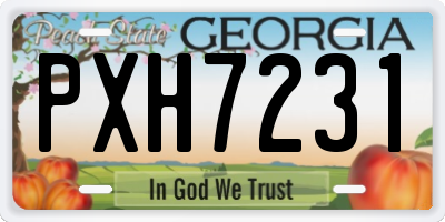 GA license plate PXH7231