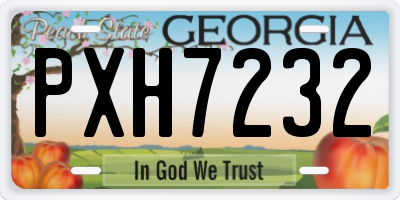 GA license plate PXH7232
