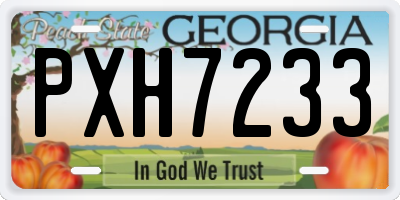 GA license plate PXH7233