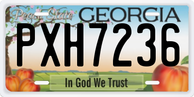 GA license plate PXH7236