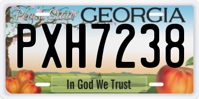 GA license plate PXH7238