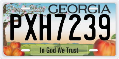 GA license plate PXH7239