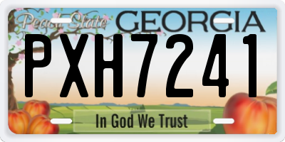 GA license plate PXH7241