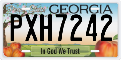 GA license plate PXH7242