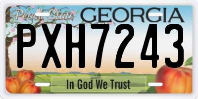 GA license plate PXH7243