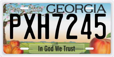GA license plate PXH7245