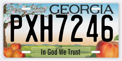 GA license plate PXH7246