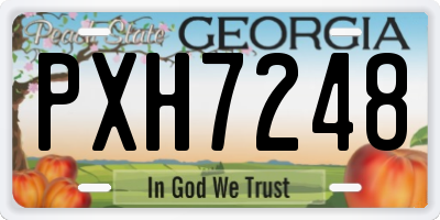 GA license plate PXH7248
