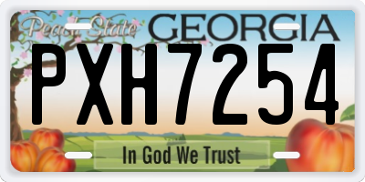 GA license plate PXH7254
