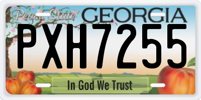 GA license plate PXH7255