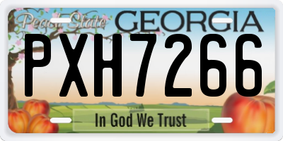 GA license plate PXH7266