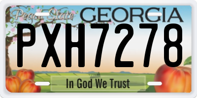 GA license plate PXH7278