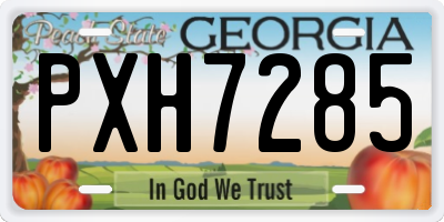 GA license plate PXH7285