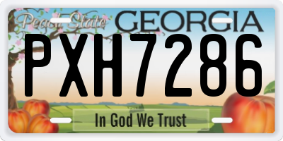 GA license plate PXH7286
