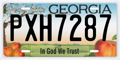 GA license plate PXH7287