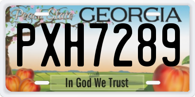 GA license plate PXH7289