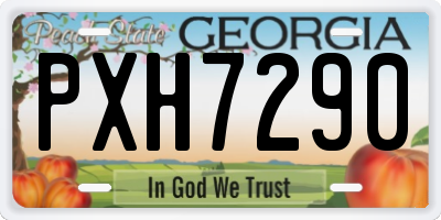 GA license plate PXH7290