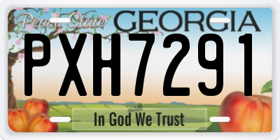 GA license plate PXH7291