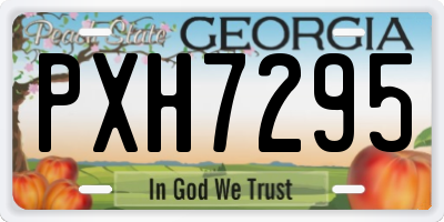 GA license plate PXH7295