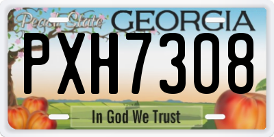 GA license plate PXH7308