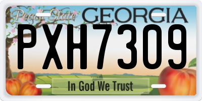 GA license plate PXH7309