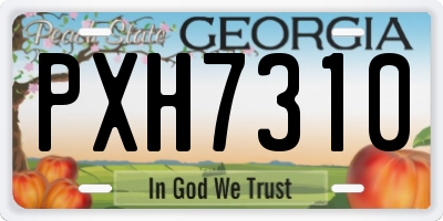 GA license plate PXH7310