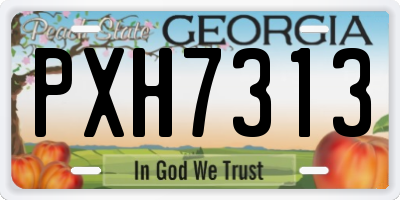 GA license plate PXH7313