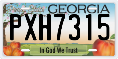 GA license plate PXH7315