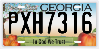 GA license plate PXH7316