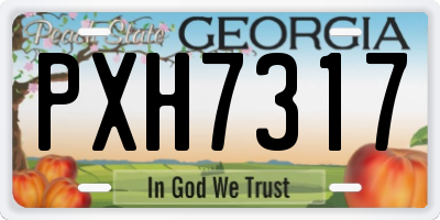 GA license plate PXH7317