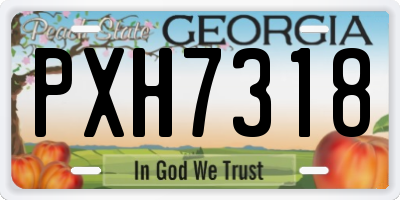 GA license plate PXH7318