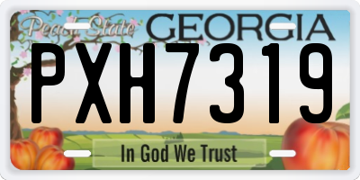GA license plate PXH7319