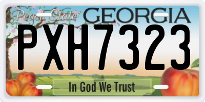 GA license plate PXH7323