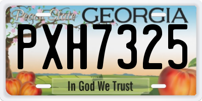 GA license plate PXH7325