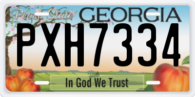 GA license plate PXH7334