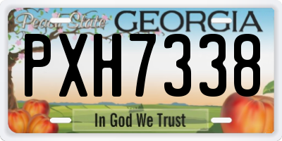 GA license plate PXH7338