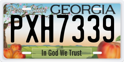 GA license plate PXH7339