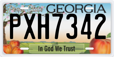 GA license plate PXH7342
